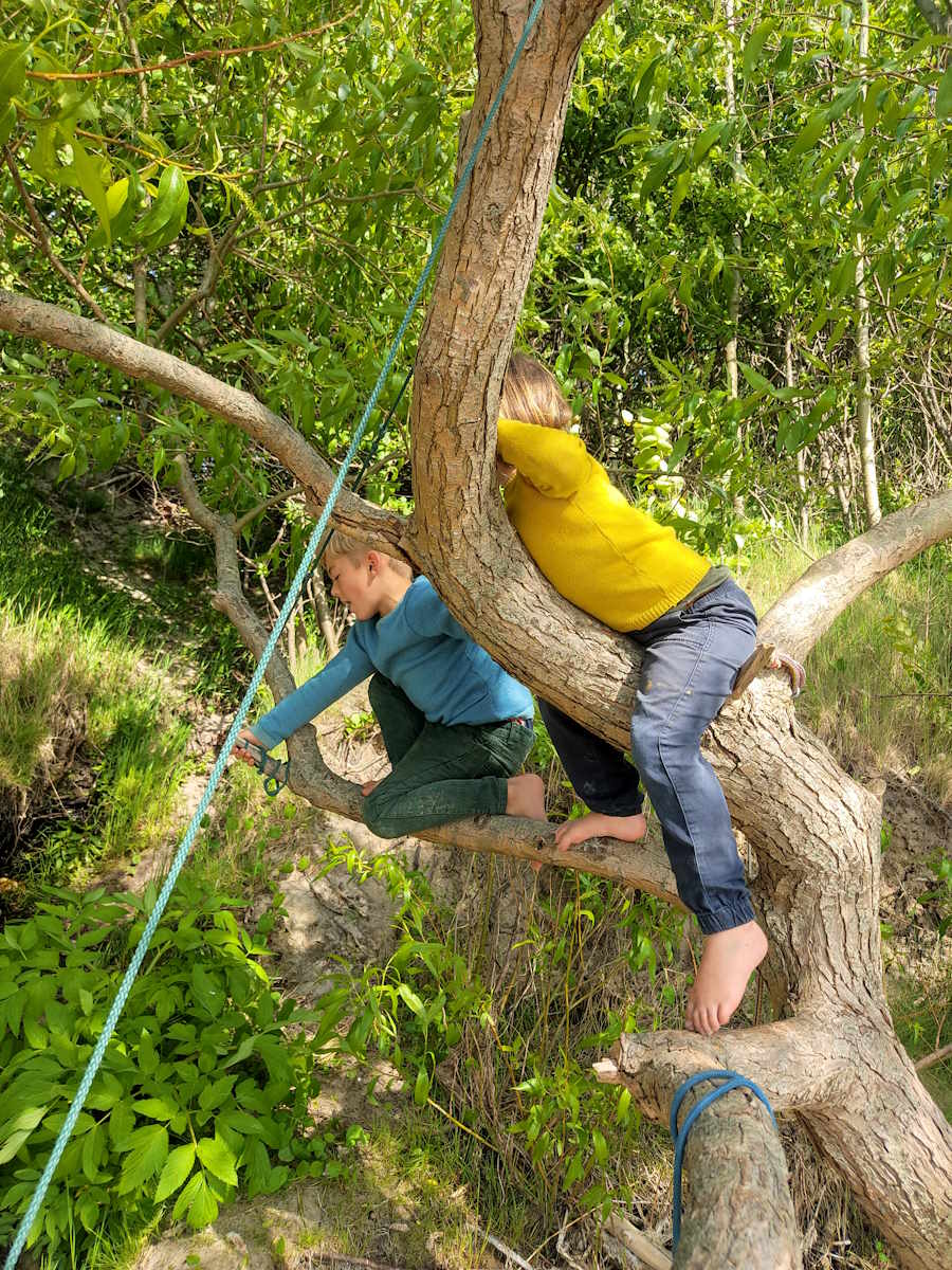Kinder klettern im Baum
